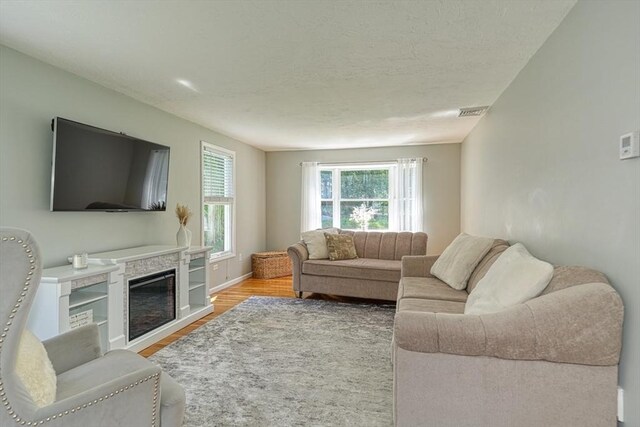 13 Woodland Dr, Hudson, MA 01749 - living area with light wood finished floors, a glass covered fireplace, a textured ceiling, and baseboards