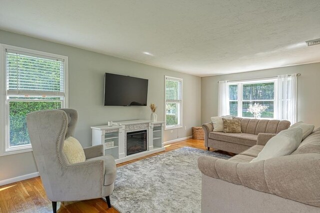 13 Woodland Dr, Hudson, MA 01749 - living room with wood finished floors, baseboards, a high end fireplace, and a textured ceiling