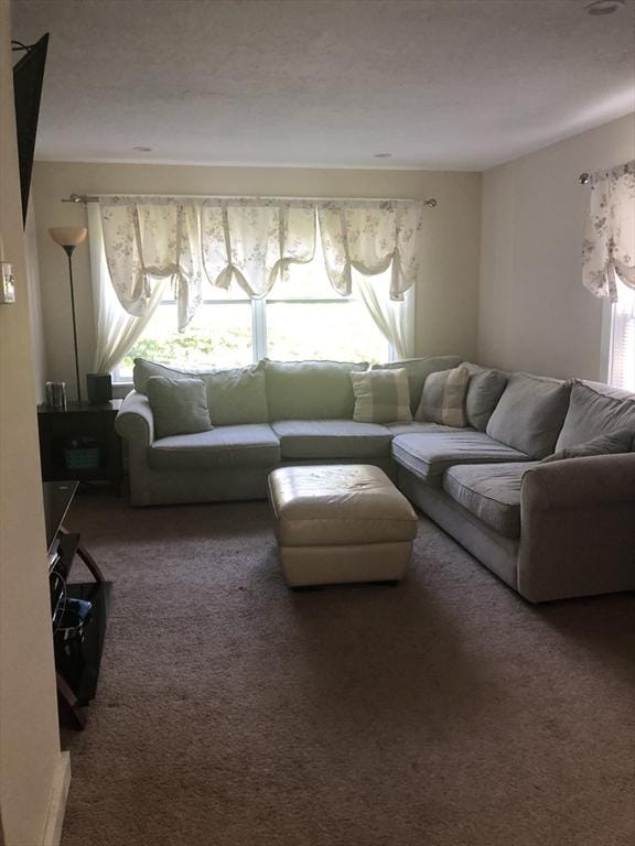 31 Benham St, Orange, MA 01364 - living area featuring plenty of natural light and carpet floors