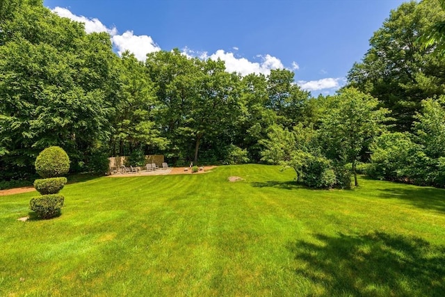 30 Bridle Path, Shrewsbury, MA 01545 - view of yard featuring a patio area