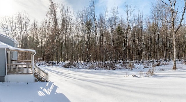 view of yard covered in snow