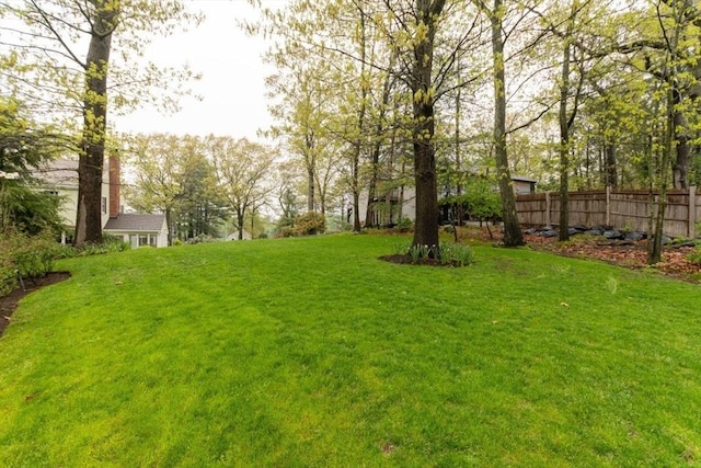 view of yard