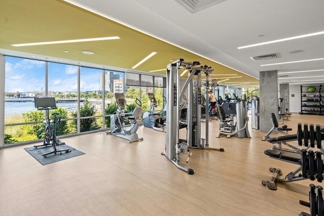 workout area with light hardwood / wood-style flooring, a water view, and expansive windows