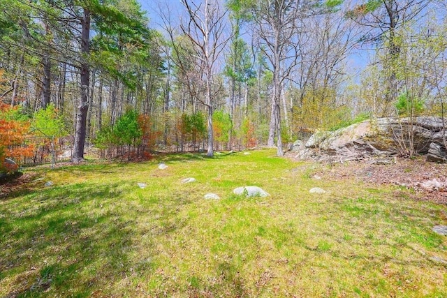 view of yard with a forest view