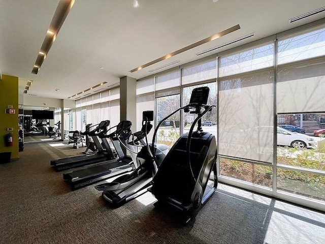 99 Tremont Unit 205, Boston, MA 02135 - exercise room featuring plenty of natural light, a wall of windows, and carpet flooring
