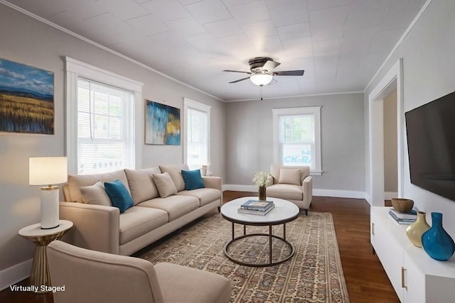 24 Tampa St, Worcester, MA 01604 - living area with ceiling fan, dark wood finished floors, and ornamental molding