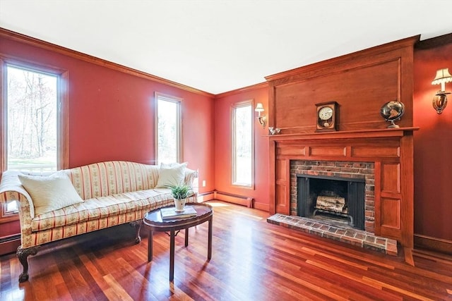 living area featuring baseboards, baseboard heating, wood finished floors, and a fireplace