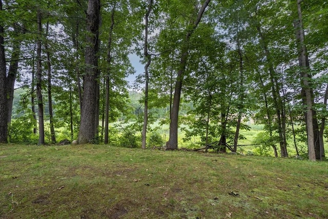 87 Fifer Ln Unit 87, Lexington, MA 02421 - view of yard