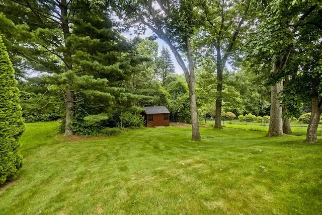 27 Chestnut Hill, South Hadley, MA 01075 - view of grassy yard featuring a storage shed