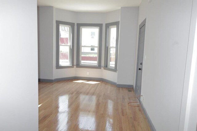 spare room with baseboards, light wood finished floors, and a wealth of natural light