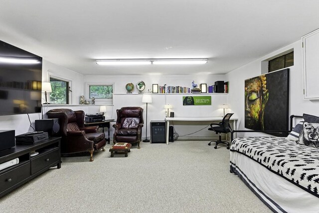 26 E St, Hopkinton, MA 01748 - bedroom with carpet floors and an office area