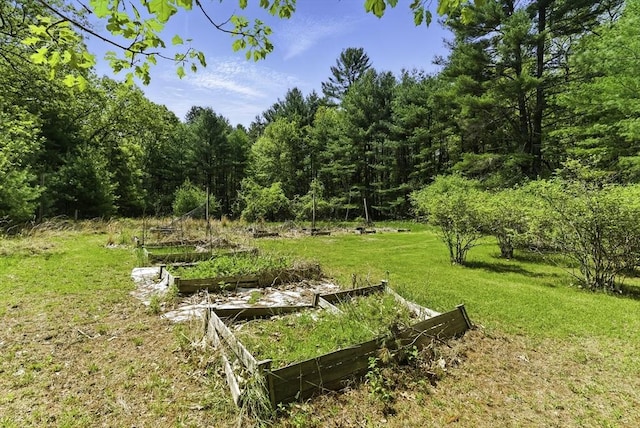 26 E St, Hopkinton, MA 01748 - view of green lawn featuring a vegetable garden and a forest view
