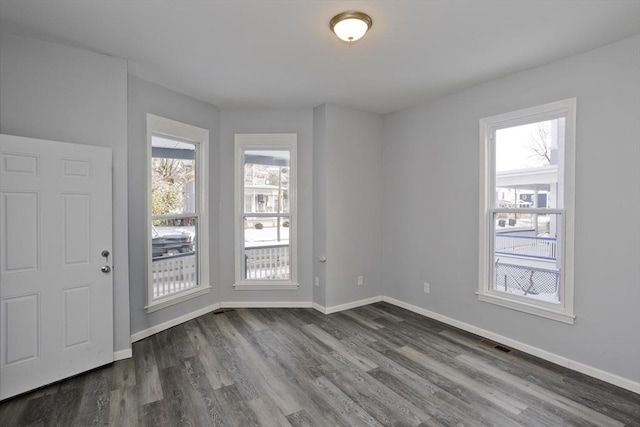 entrance foyer with dark wood-type flooring