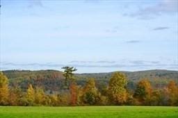 Listing photo 2 for LOT89 Paige Hill Rd, Brimfield MA 01010