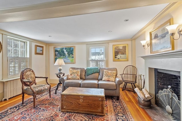 living room with hardwood / wood-style floors, crown molding, and radiator