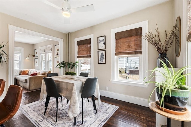 dining area featuring dark wood-style floors, plenty of natural light, and baseboards