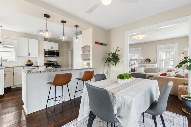 dining space with ceiling fan, dark wood finished floors, and a wealth of natural light