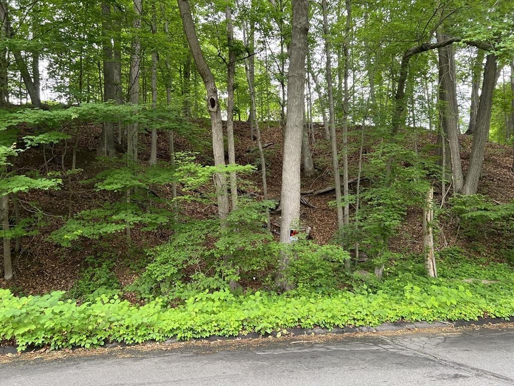 LOT114 Bark Haul Rd, Longmeadow, MA 01106