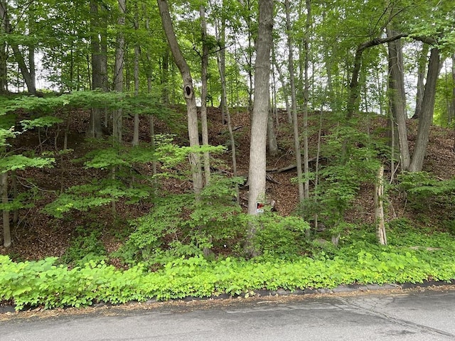 LOT114 Bark Haul Rd, Longmeadow, MA 01106