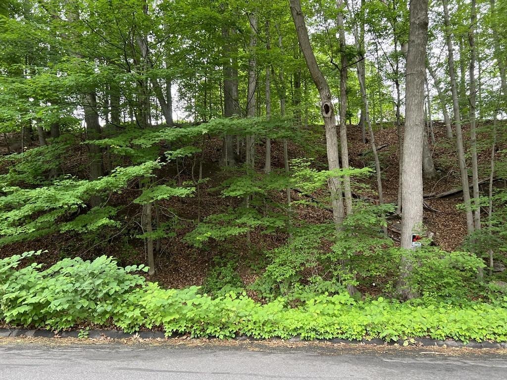 LOT114 Bark Haul Rd, Longmeadow, MA 01106