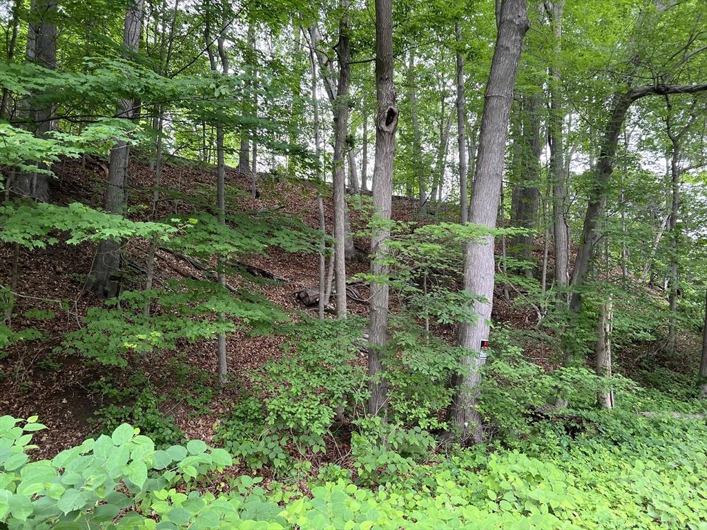 LOT114 Bark Haul Rd, Longmeadow, MA 01106