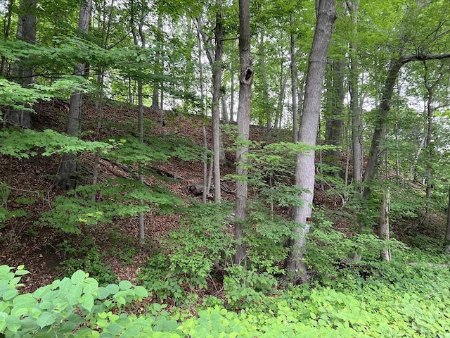 LOT114 Bark Haul Rd, Longmeadow, MA 01106