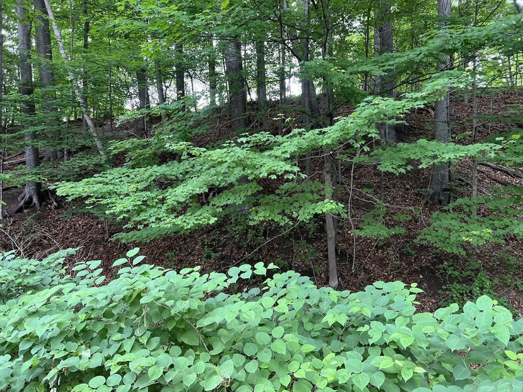 LOT114 Bark Haul Rd, Longmeadow, MA 01106