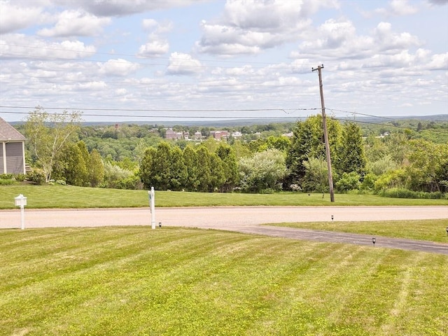 264 Dresser Hill Rd, Dudley, MA 01571 - view of grassy yard
