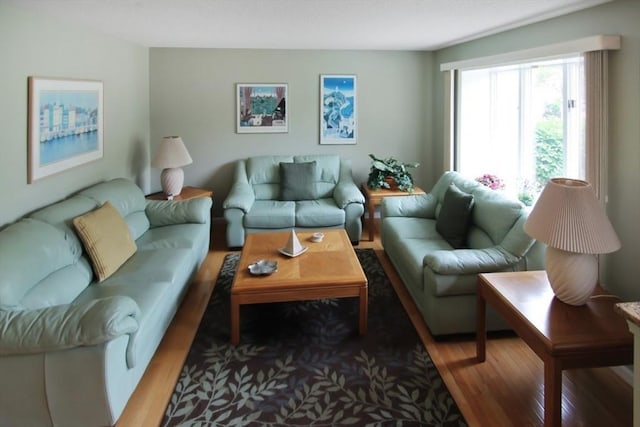 1504 Huckleberry Ct Unit 1504, Peabody, MA 01960 - living room featuring wood finished floors