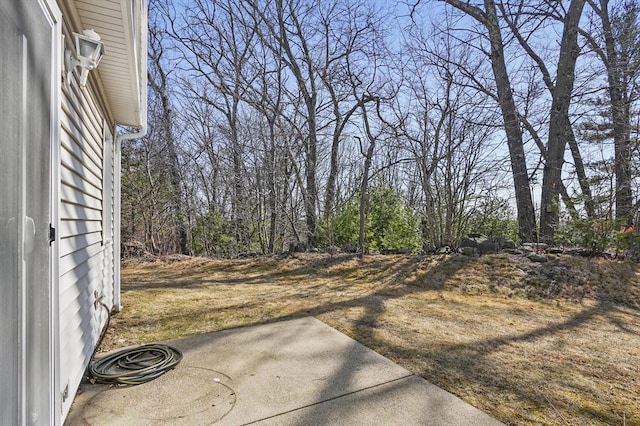 view of yard with a patio