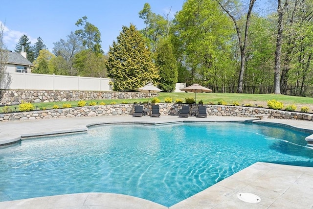 view of pool featuring a fenced backyard, a fenced in pool, a yard, and a patio area