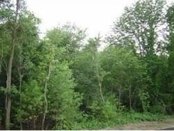 26 Alger St, Brockton MA, 02302 land for sale