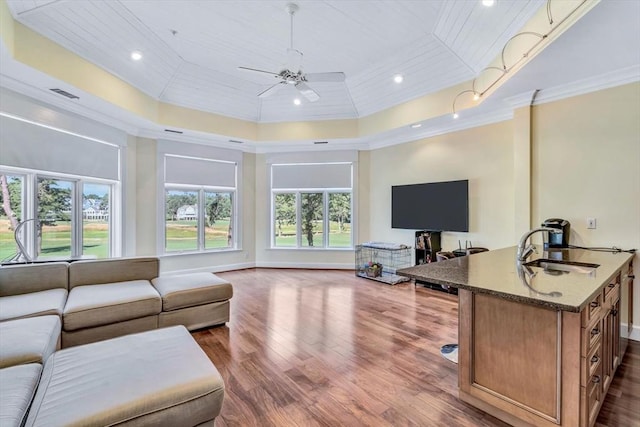 living room with a raised ceiling, ornamental molding, sink, and dark hardwood / wood-style floors