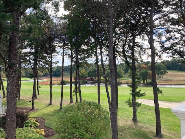 view of community with a water view and a yard