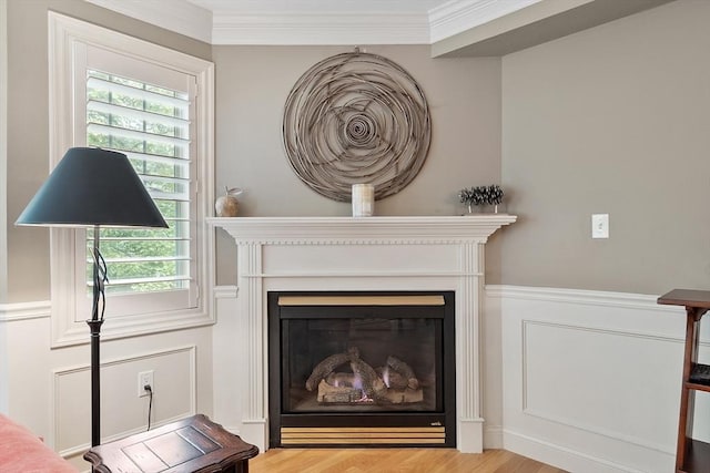 4 Sterling Hill Ln Unit 424, Exeter, NH 03833 - detailed view of a glass covered fireplace, ornamental molding, and wood finished floors