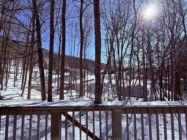 view of yard layered in snow