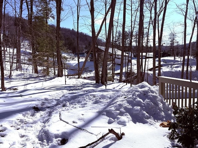 view of snowy yard