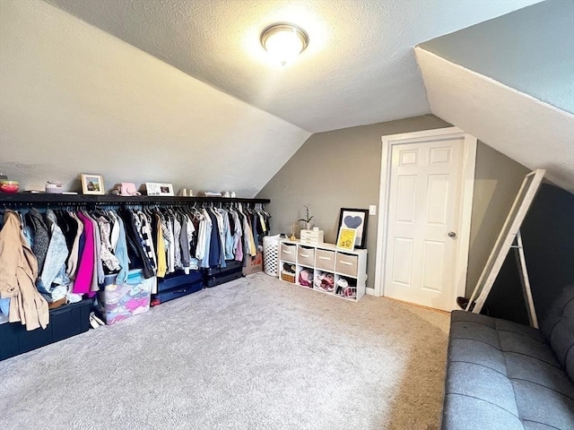 36 Circle St, Templeton, MA 01436 - spacious closet with carpet flooring and vaulted ceiling