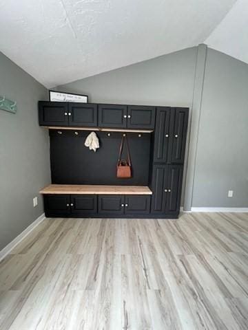 36 Circle St, Templeton, MA 01436 - mudroom with vaulted ceiling, light wood-style floors, and baseboards
