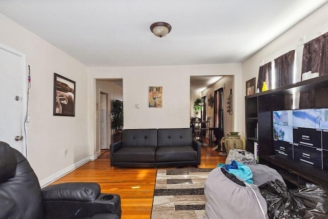 living room with wood-type flooring