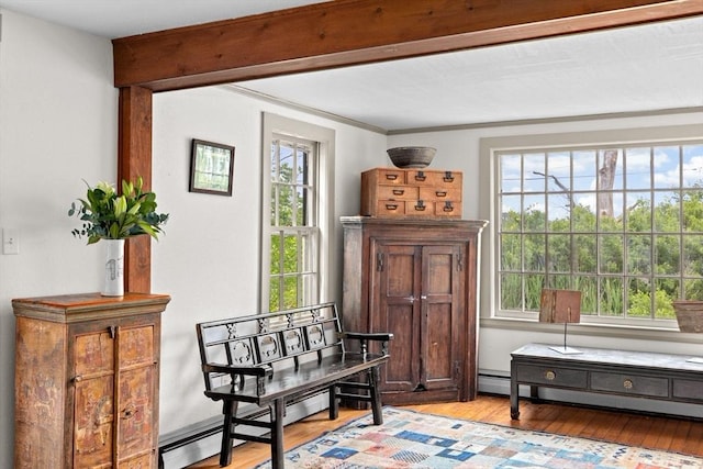 146 Chief Justic Cushing Hwy, Scituate, MA 02066 - living area featuring wood finished floors and a baseboard heating unit