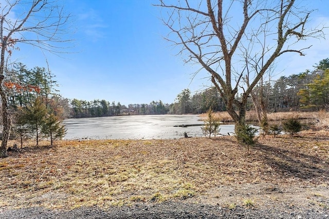 view of yard featuring a water view