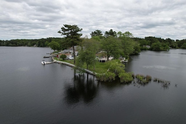 72 Lakeview Pl, Taunton, MA 02780 - water view featuring a forest