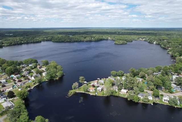 72 Lakeview Pl, Taunton, MA 02780 - aerial view of property's location with a heavily wooded area and a nearby body of water