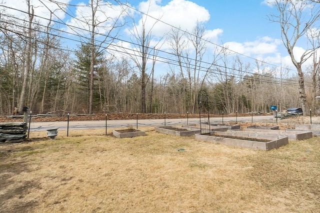 view of yard with a garden