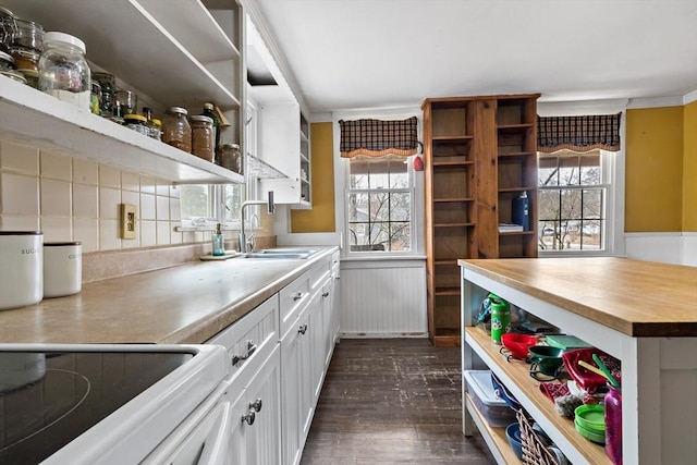 pantry featuring a sink