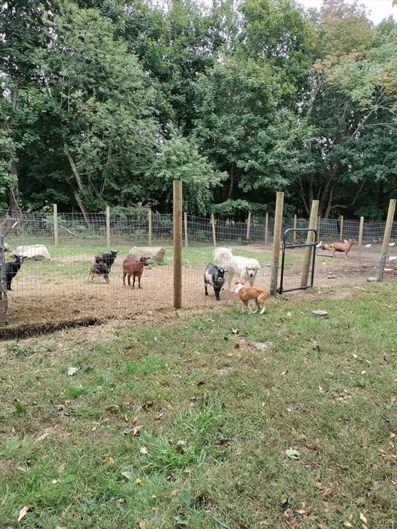 view of yard with a rural view and fence