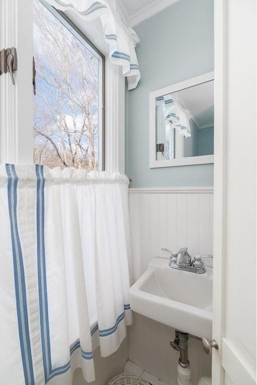 bathroom with sink and ornamental molding