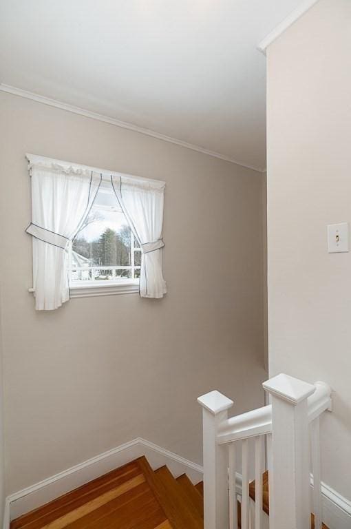 stairway with crown molding and hardwood / wood-style floors