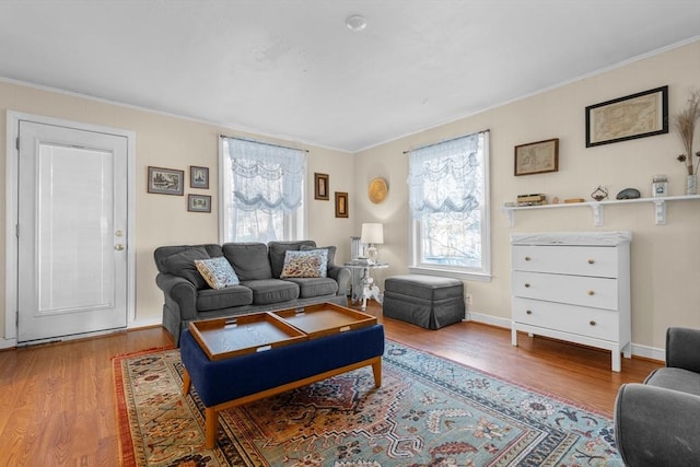 living room featuring ornamental molding and hardwood / wood-style floors